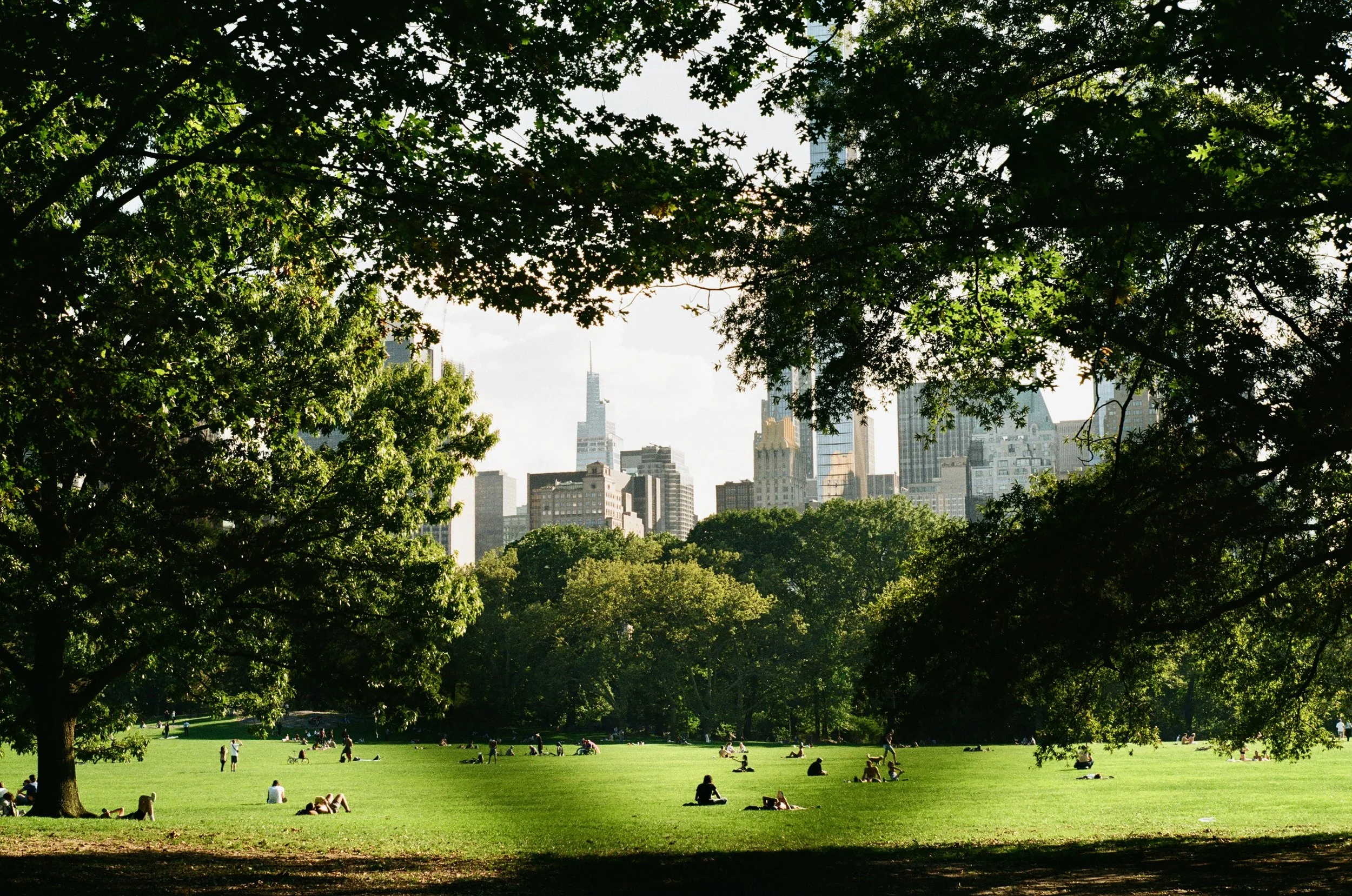 Imports - 11 of 43.jpeg