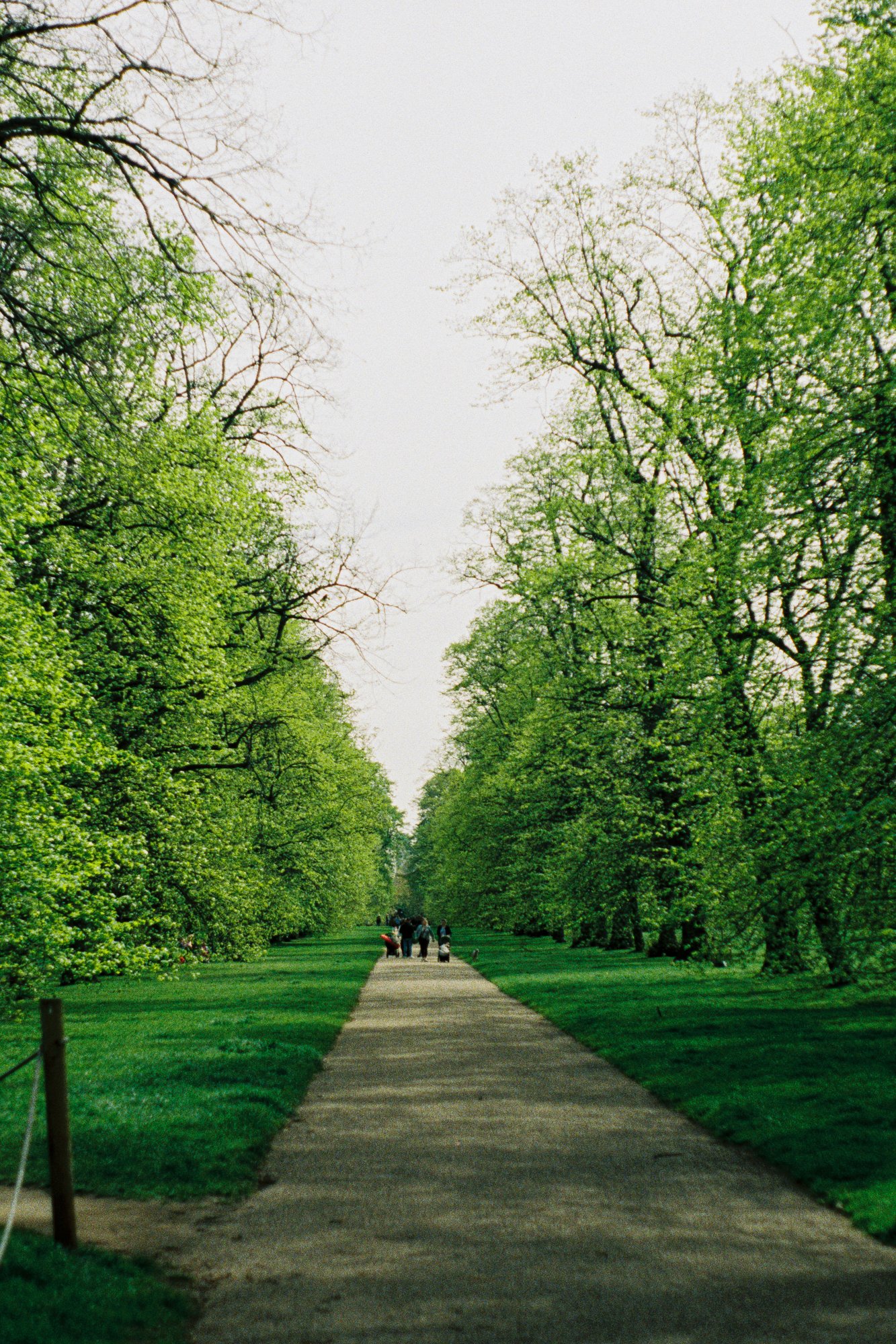 london garden 2.jpg