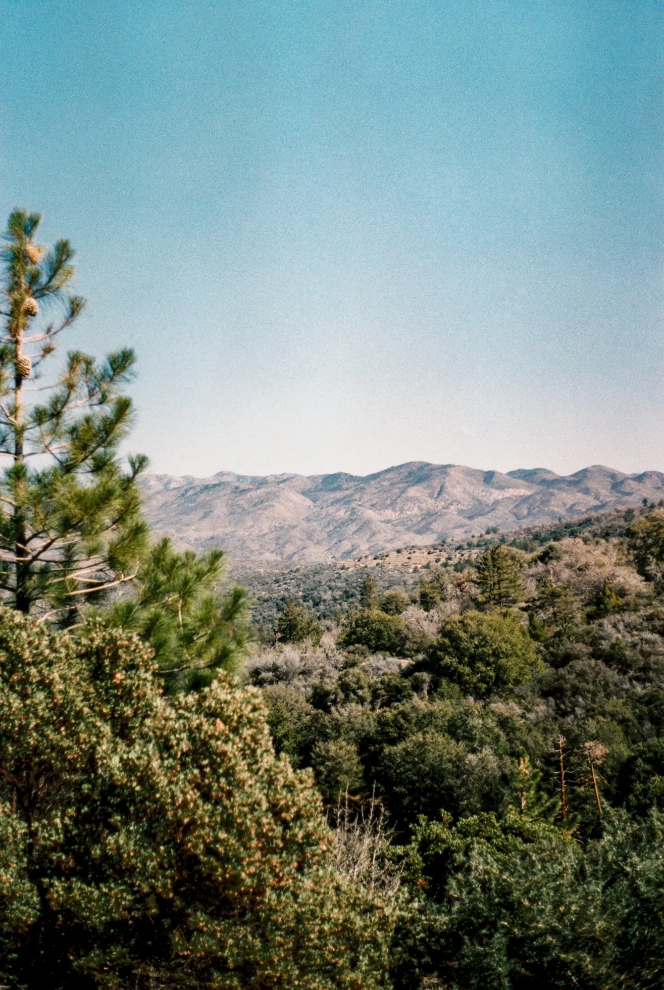 lake arrowhead 4.jpeg