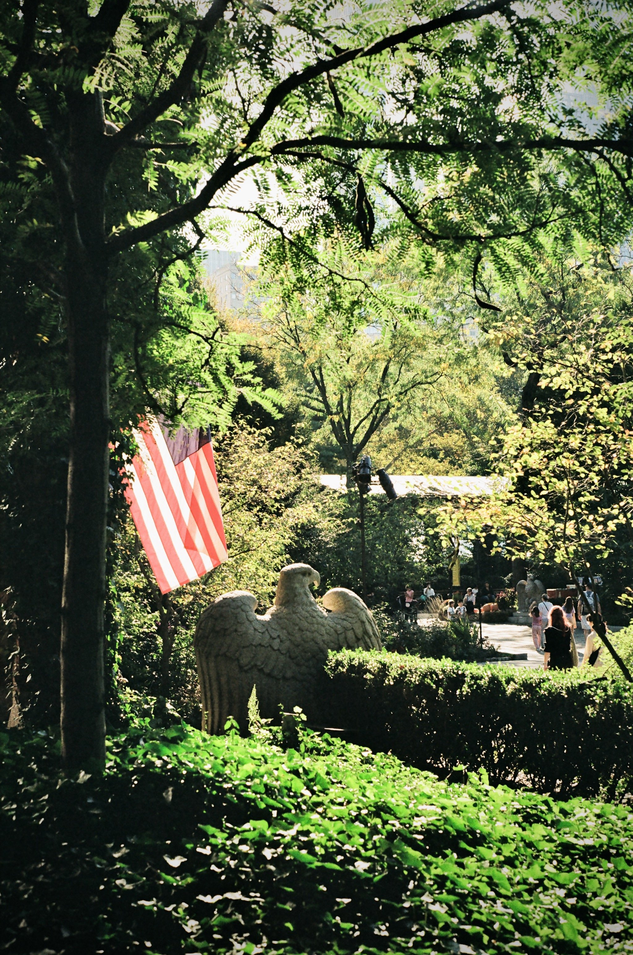 Imports - 5 of 43.jpeg