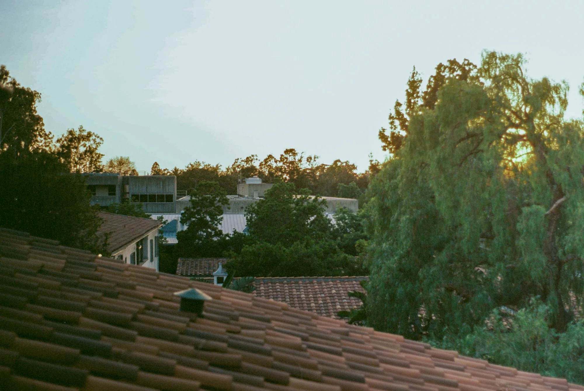 sunset from toll.jpeg