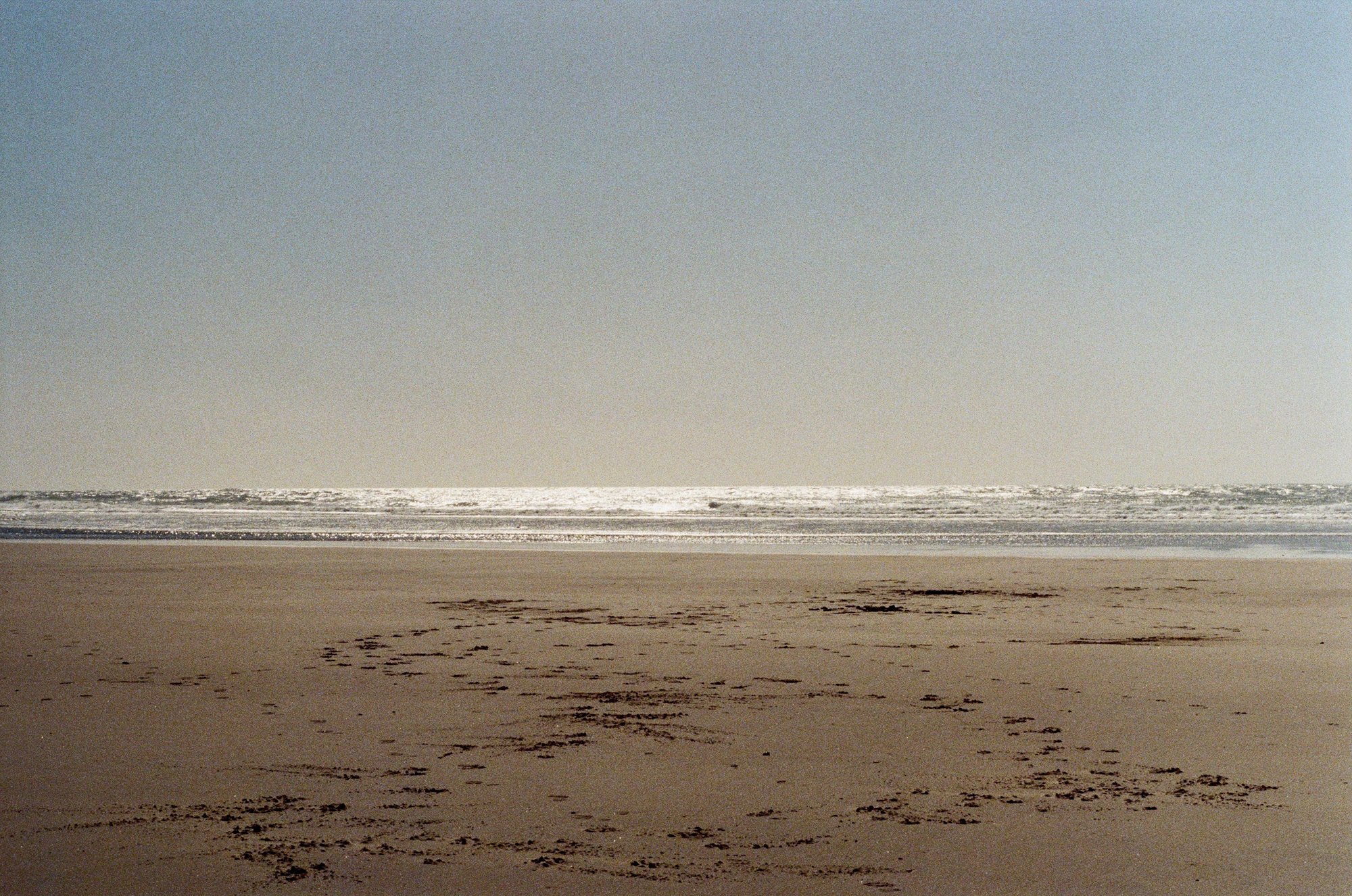 beach oregon 4.jpg