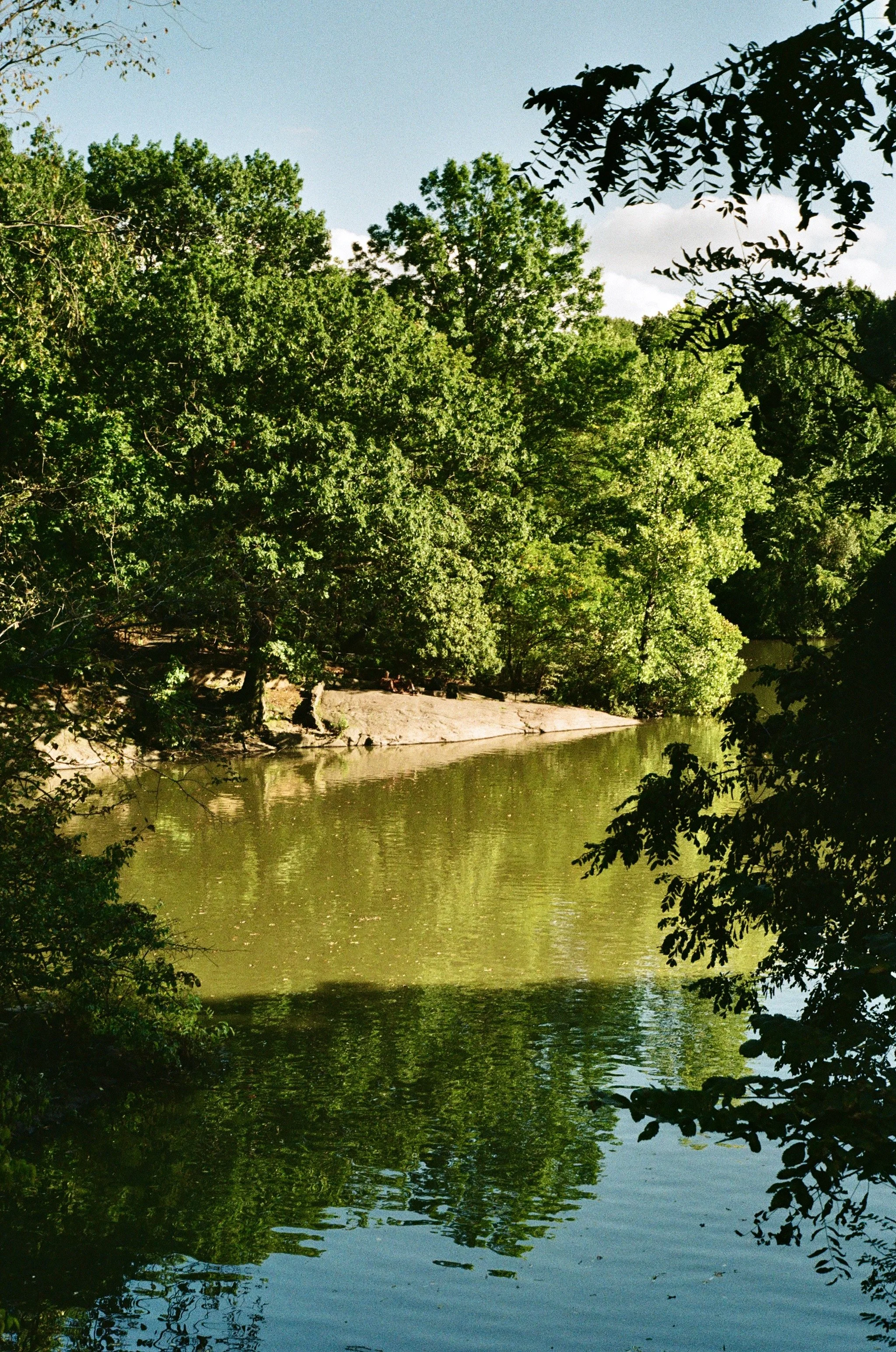 Imports - 1 of 43.jpeg