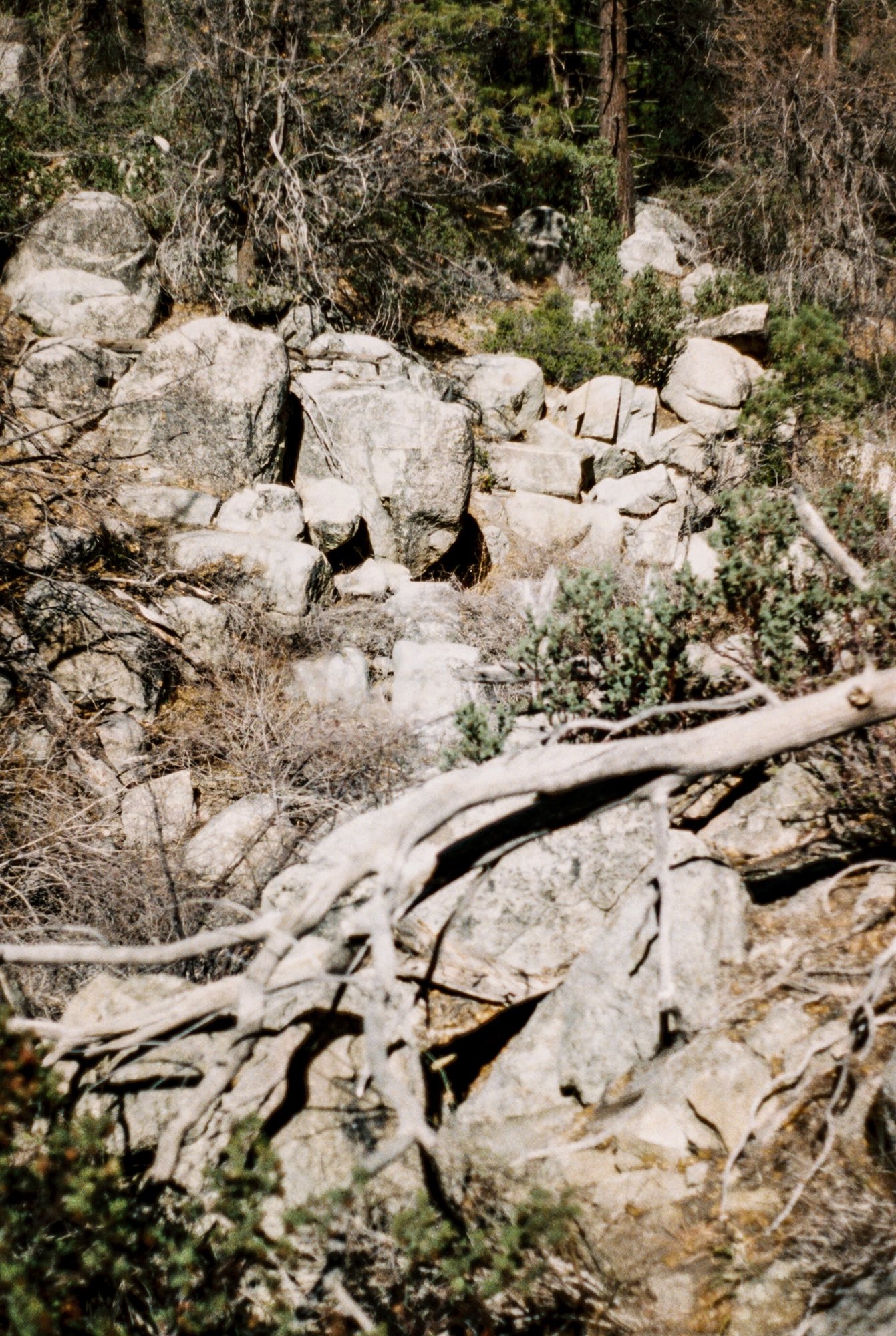 lake arrowhead hike.jpeg