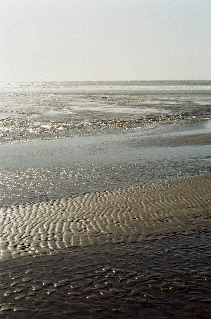 beach oregon 10.jpeg