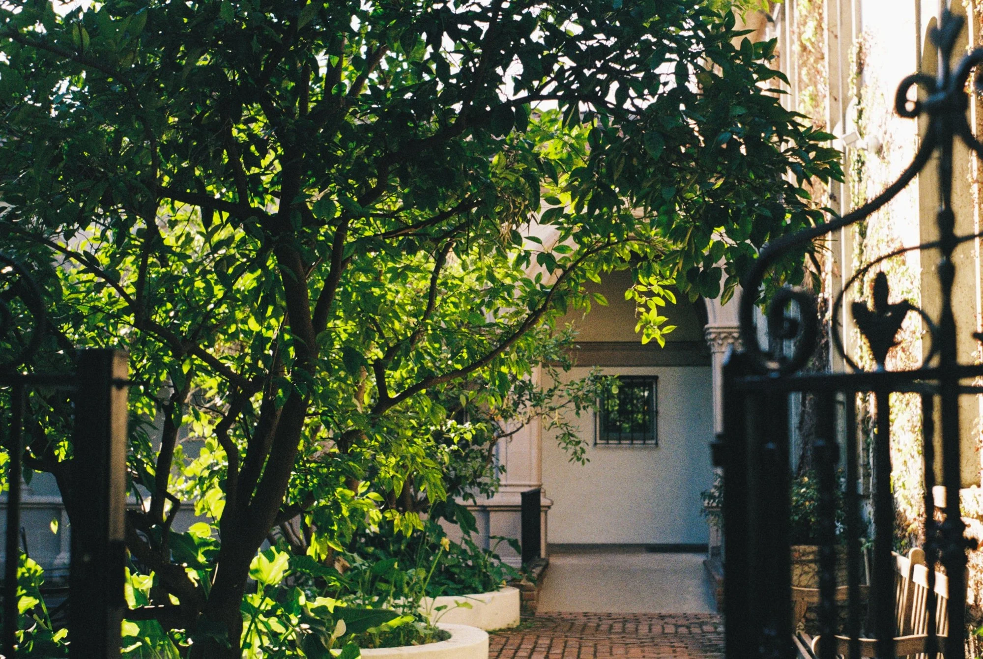 valencia courtyard.jpeg