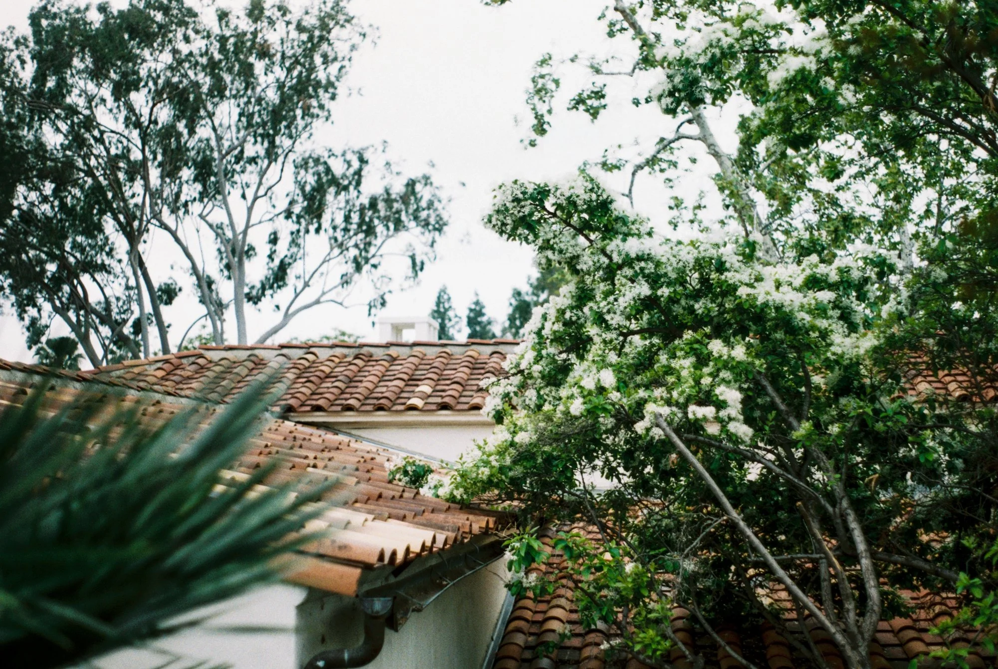 toll browsing view.jpeg