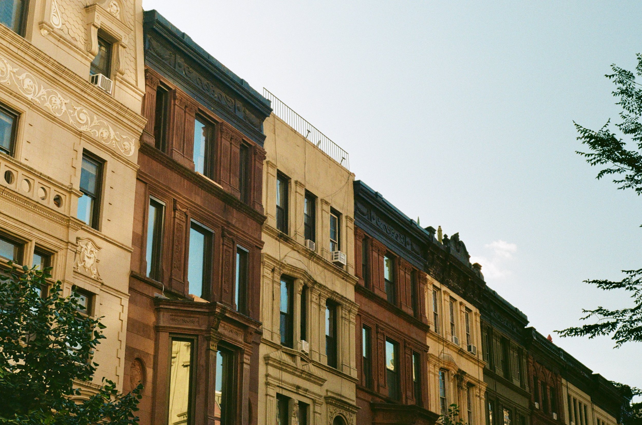 Imports - 16 of 43.jpeg