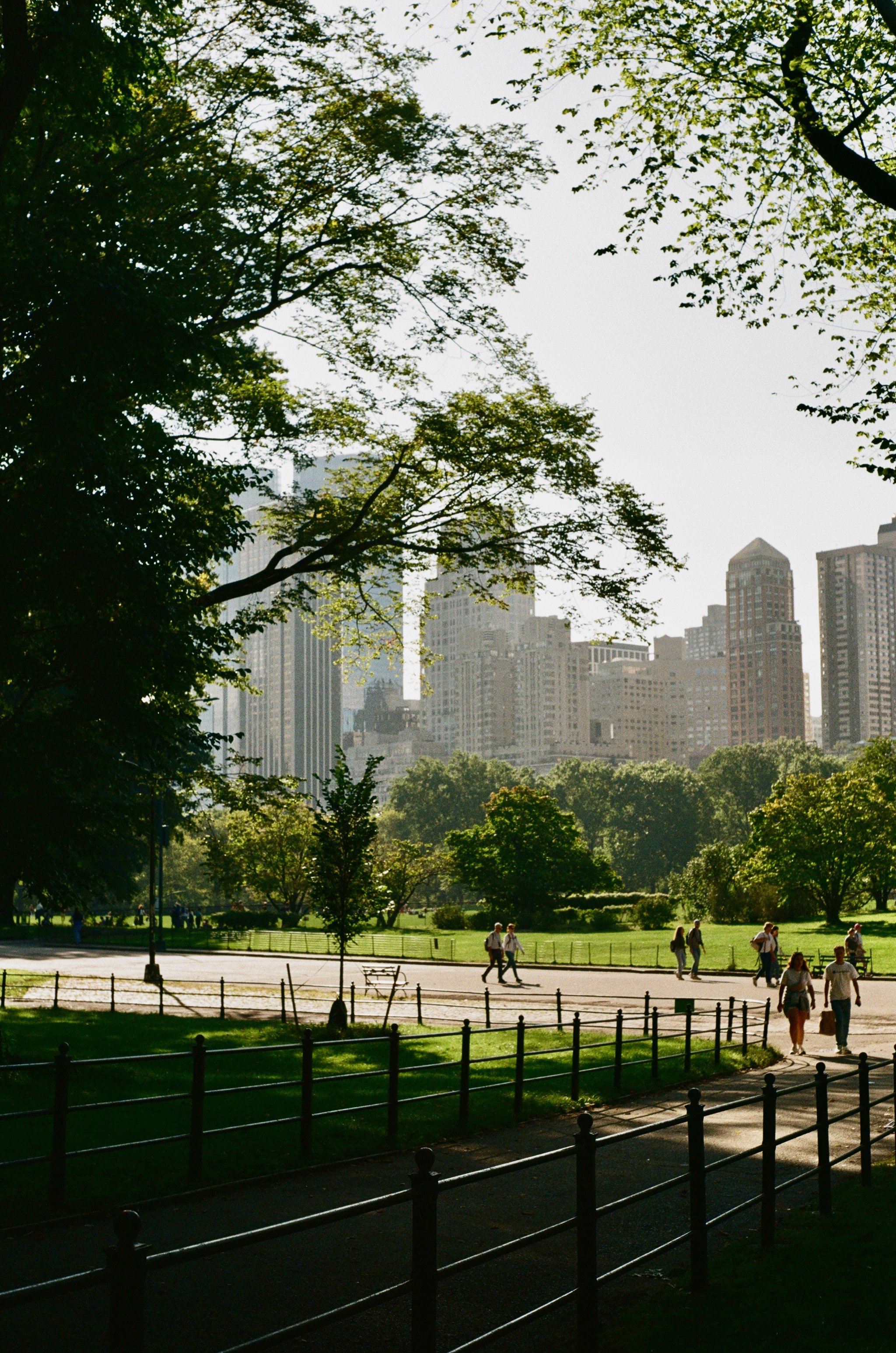 Imports - 21 of 43.jpeg