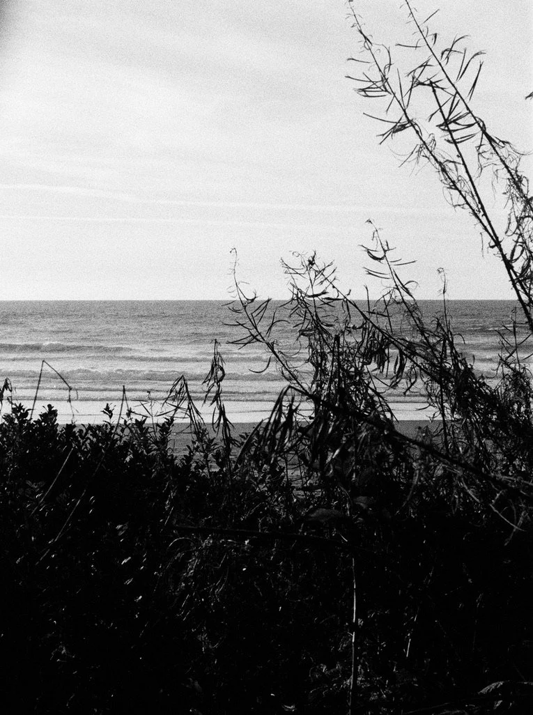 beach oregon BW 4.jpeg