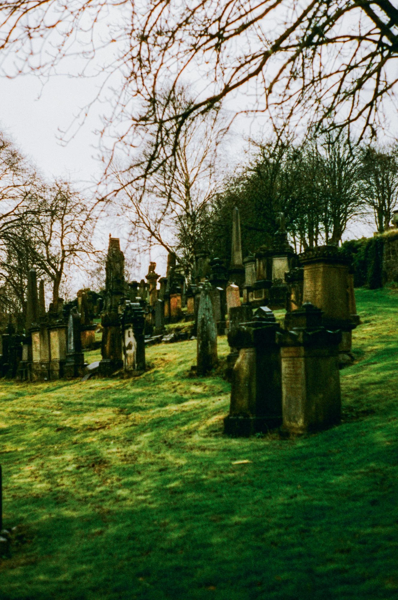 glasgow graveyard 2.jpg