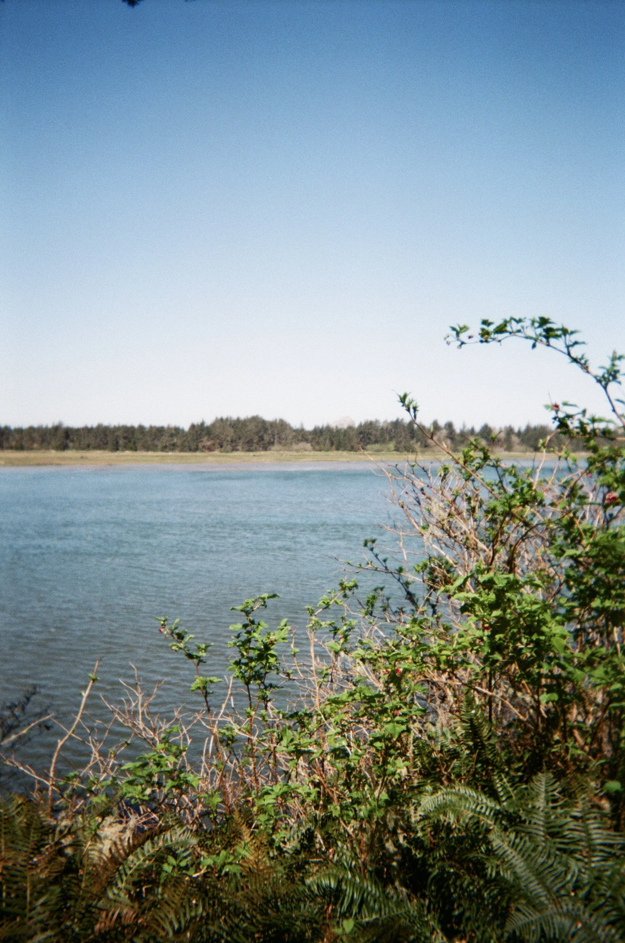 reservoir oregon 2.jpg