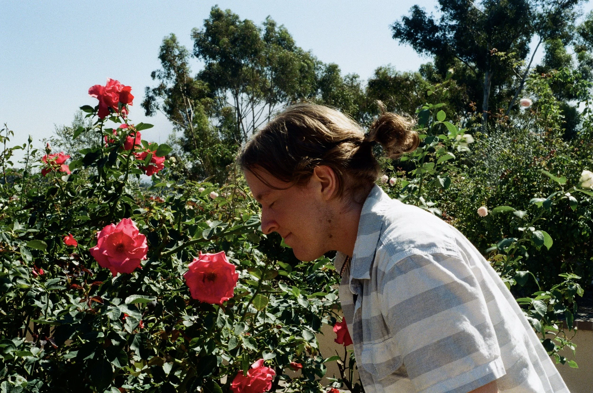 james san diego rose garden.jpg