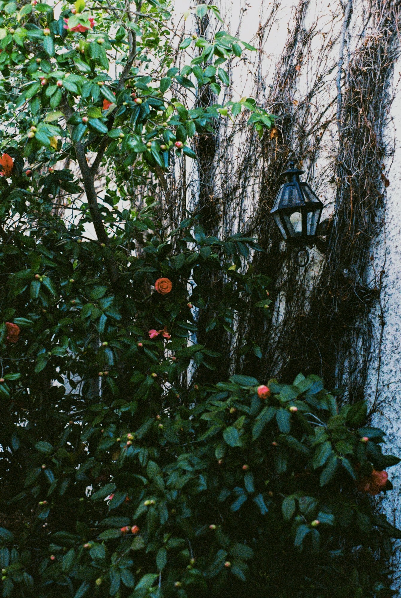 valencia courtyard 2.jpeg