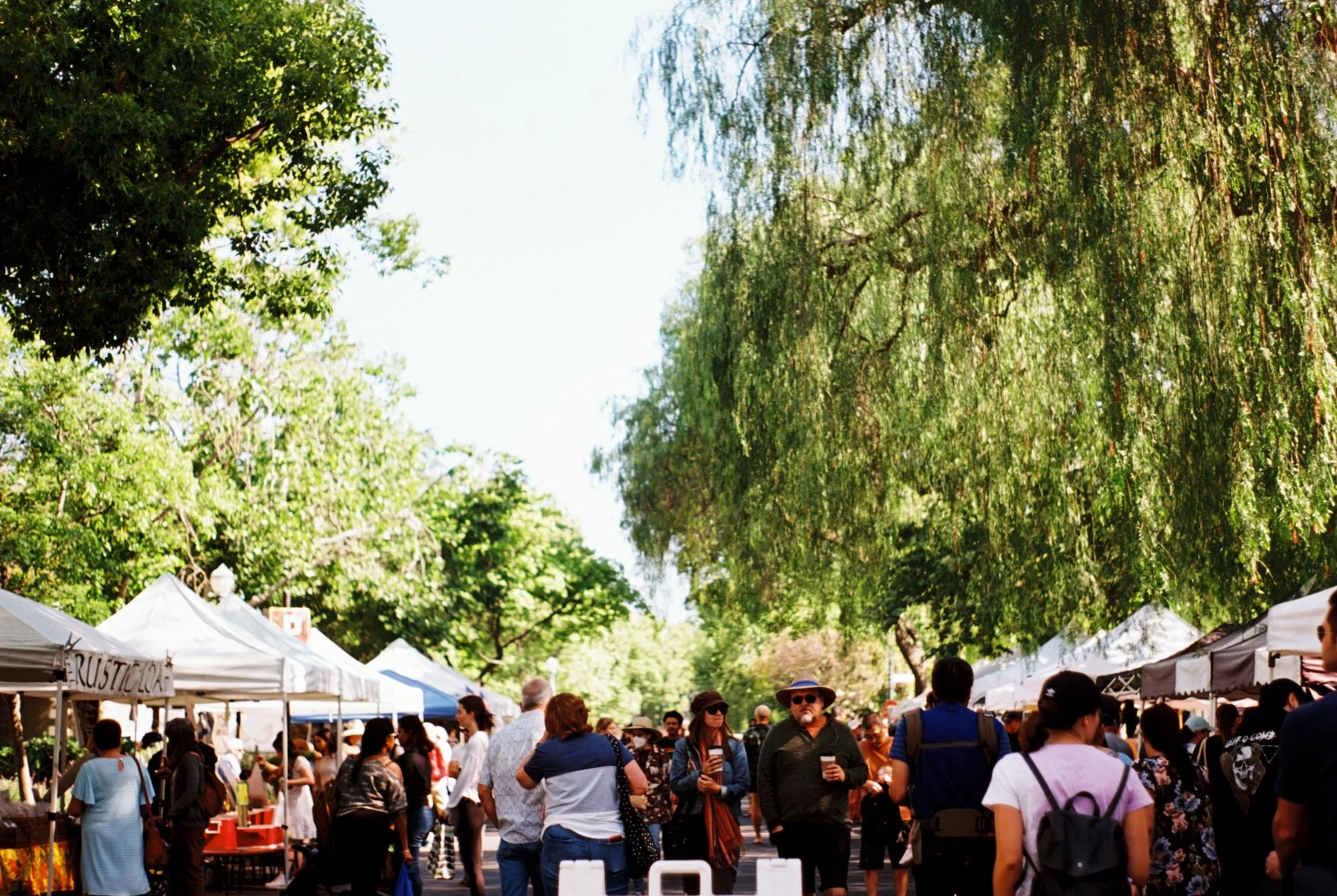 farmers market.jpeg