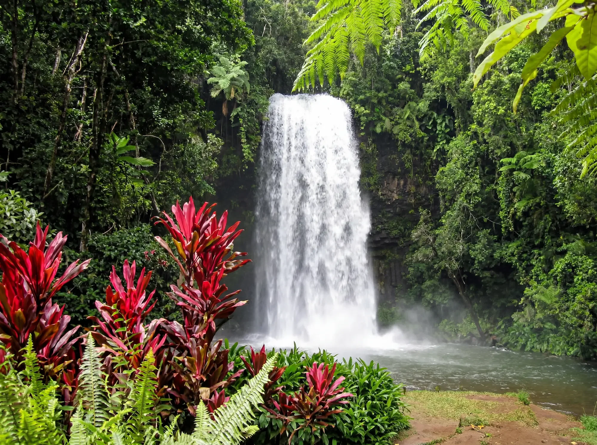 Yungaburra: The Tablelands Town That Rewards a Detour