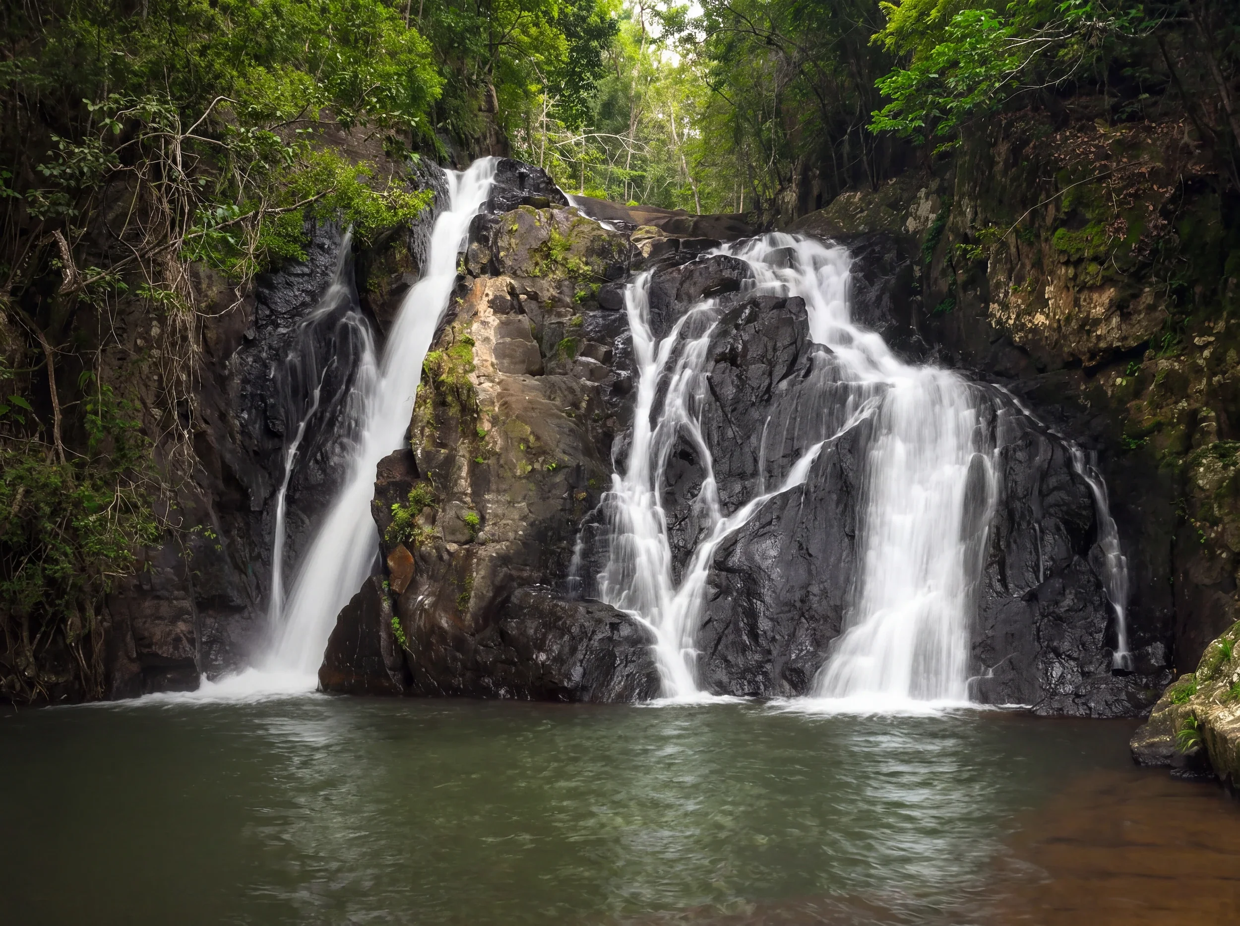 Atherton Tablelands Official Resources and Publications’