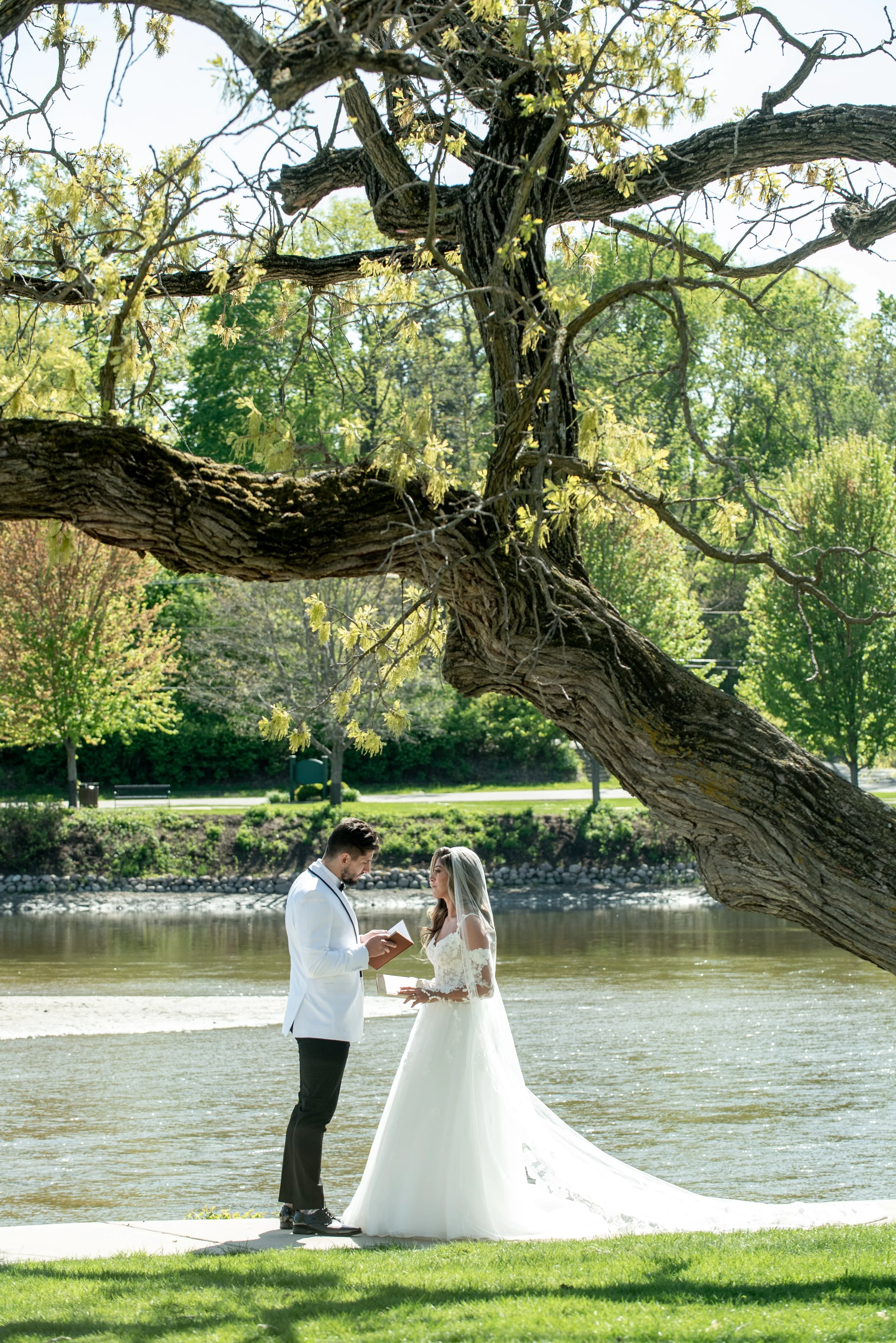 A wedding ceremony taking place outdoors by a river, with a groom and bride exchanging vows beneath a large, leafless tree on a bright, sunny day.