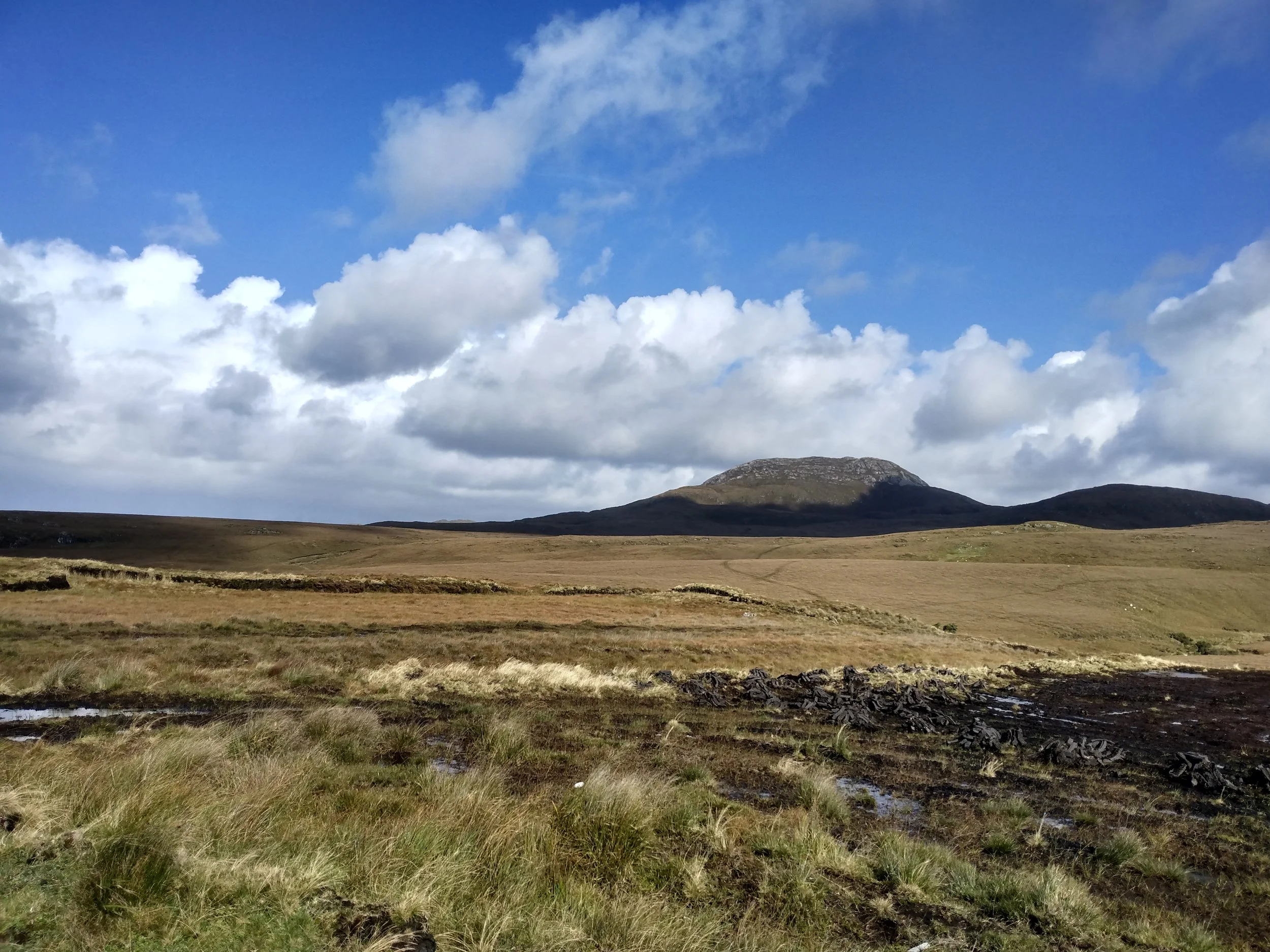 Open grassland with rolling hills and a mountain in the background under a partly cloudy blue sky.