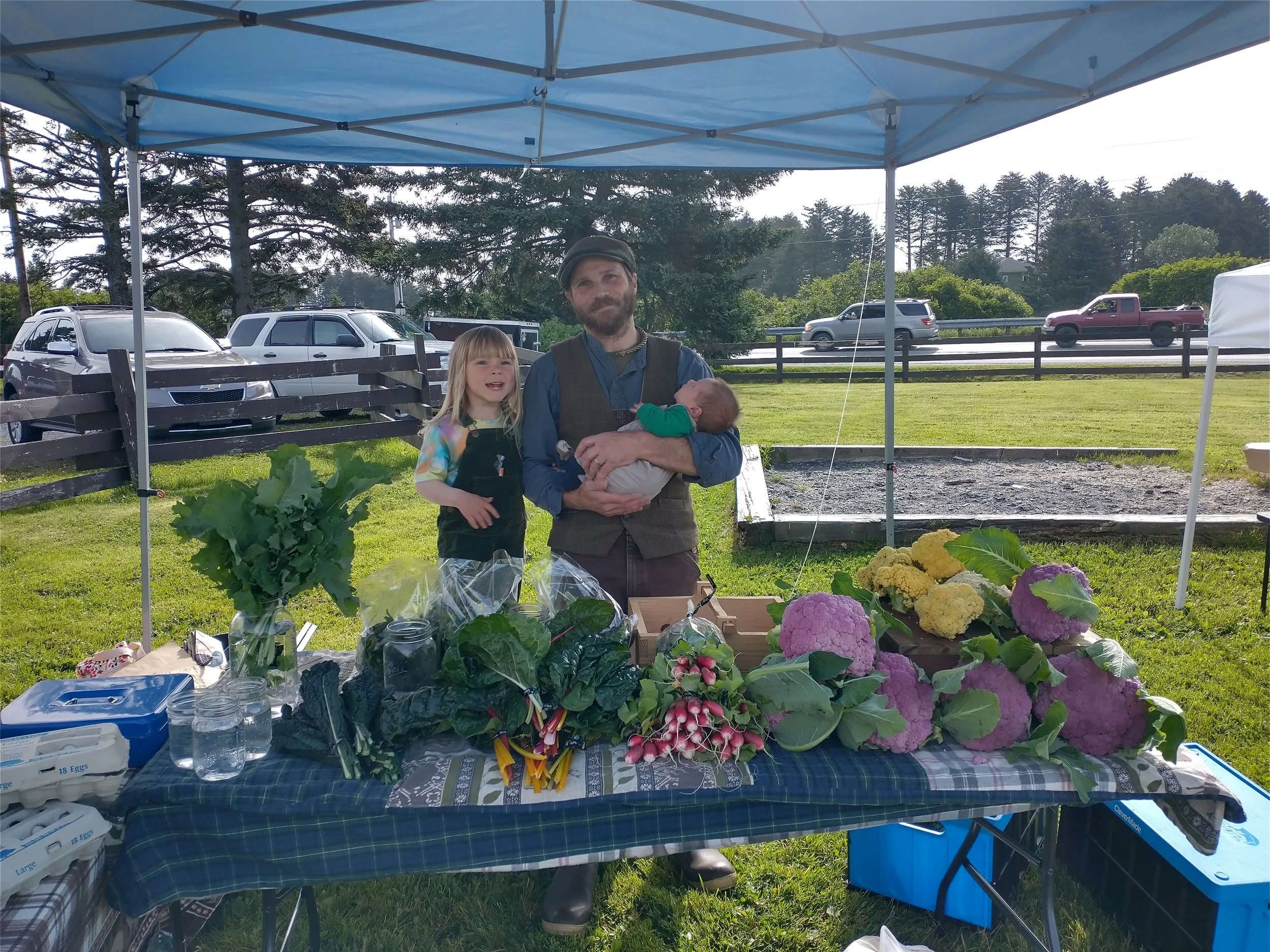 A man holding a baby and a young boy standing next to a market stall with fresh vegetables and flowers under a blue canopy on a grassy area.