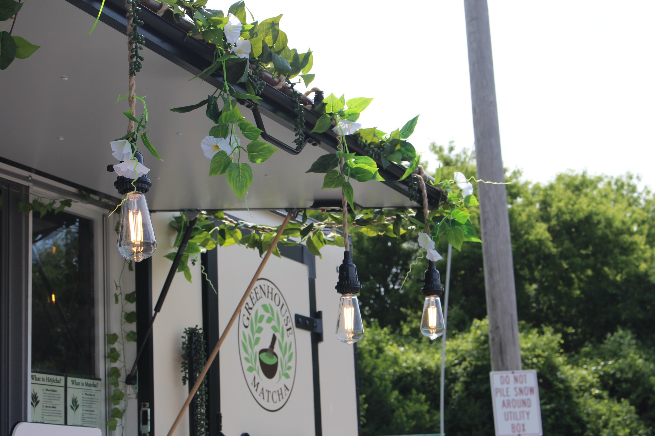 Hanging string lights with Edison bulbs and green leafy plants outside a mobile matcha cart with a sign that says 'Greenhouse Matcha'.