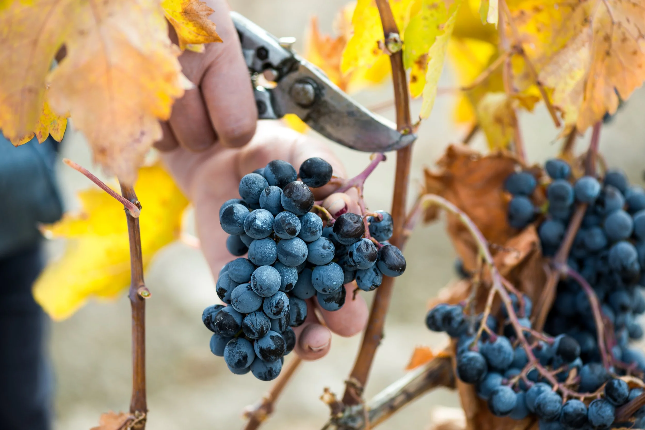 vyd, 2018 - zenith (17).jpg