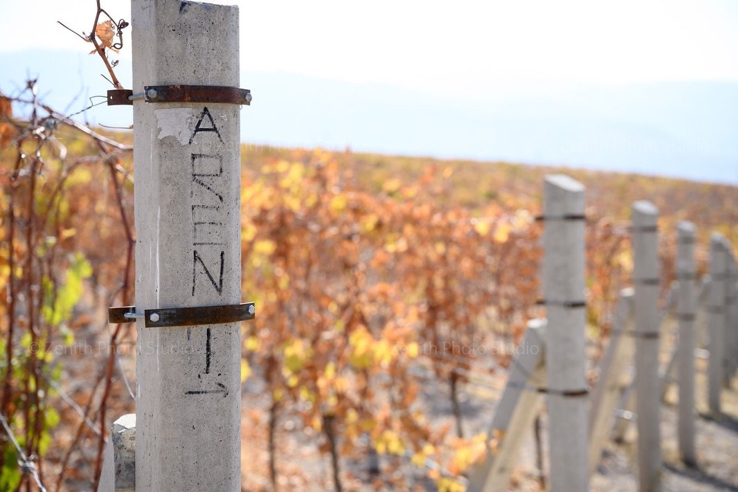 An ancient variety indigenous to Armenia, Areni has adapted perfectly to the high altitude, mountainous region of Vayots Dzor, where the vines thrive on the rocky, mineral-rich, volcanic soils. This late-ripening grape makes fresh, elegant, structure