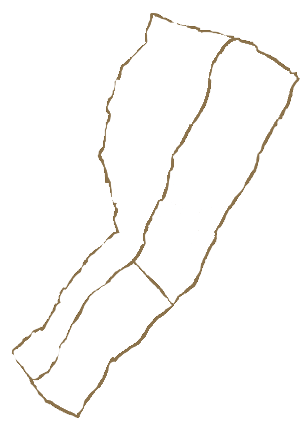 Artistic outline of the Yacoubian-Hobbs estate vineyard in Vayots Dzor, Armenia