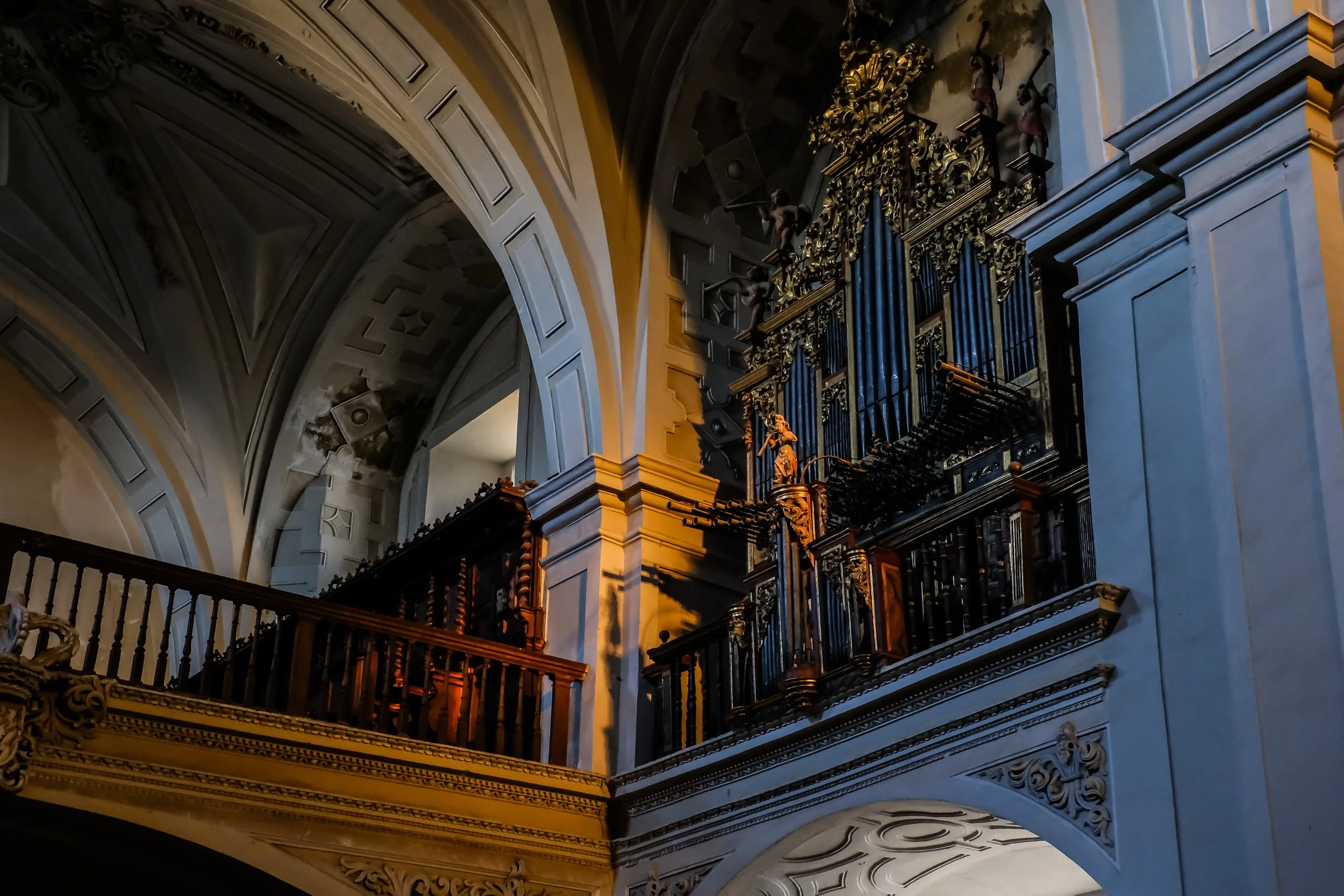 Organ Angel Camino.jpg