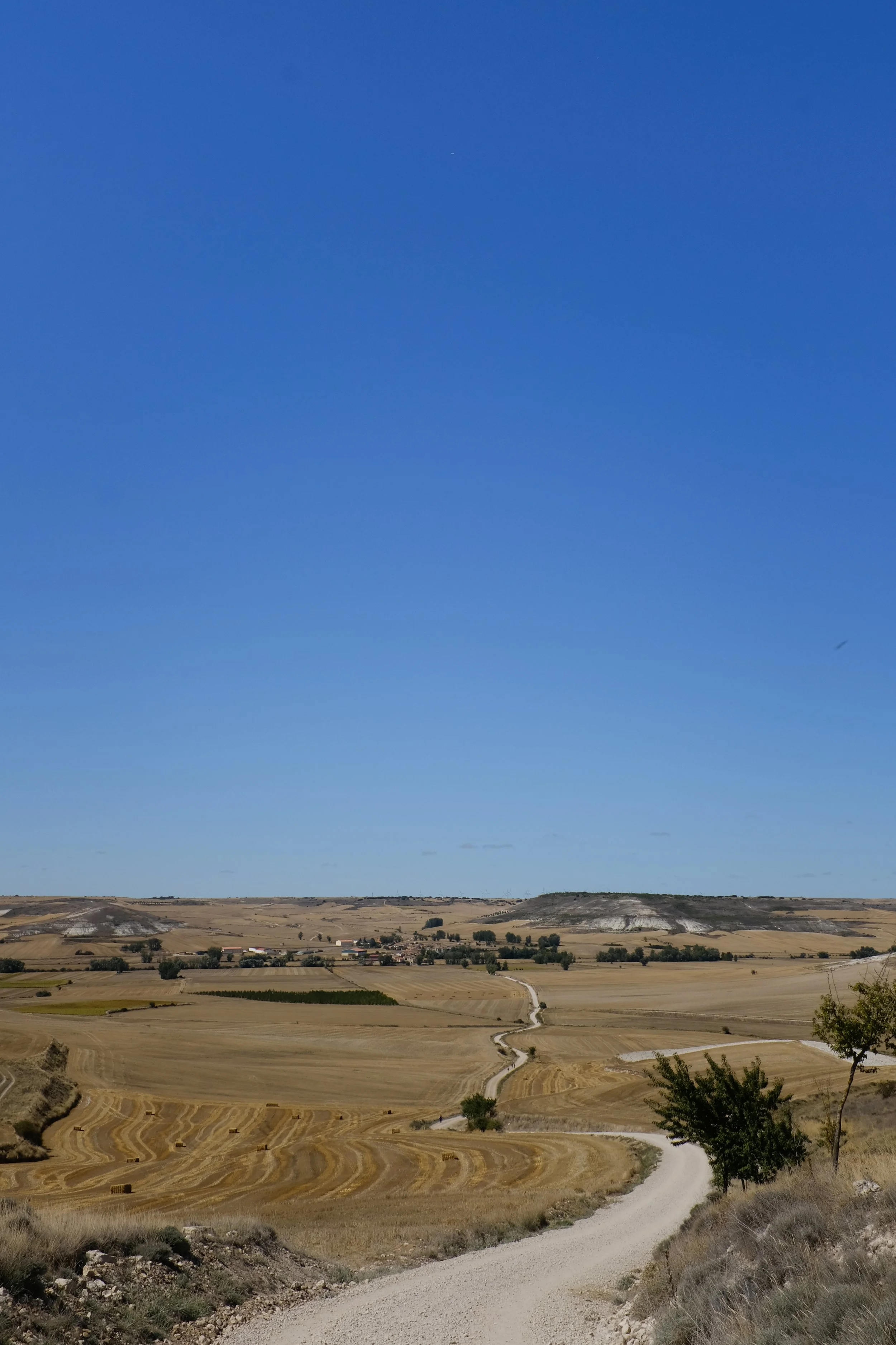 Camino Stretches On.jpg