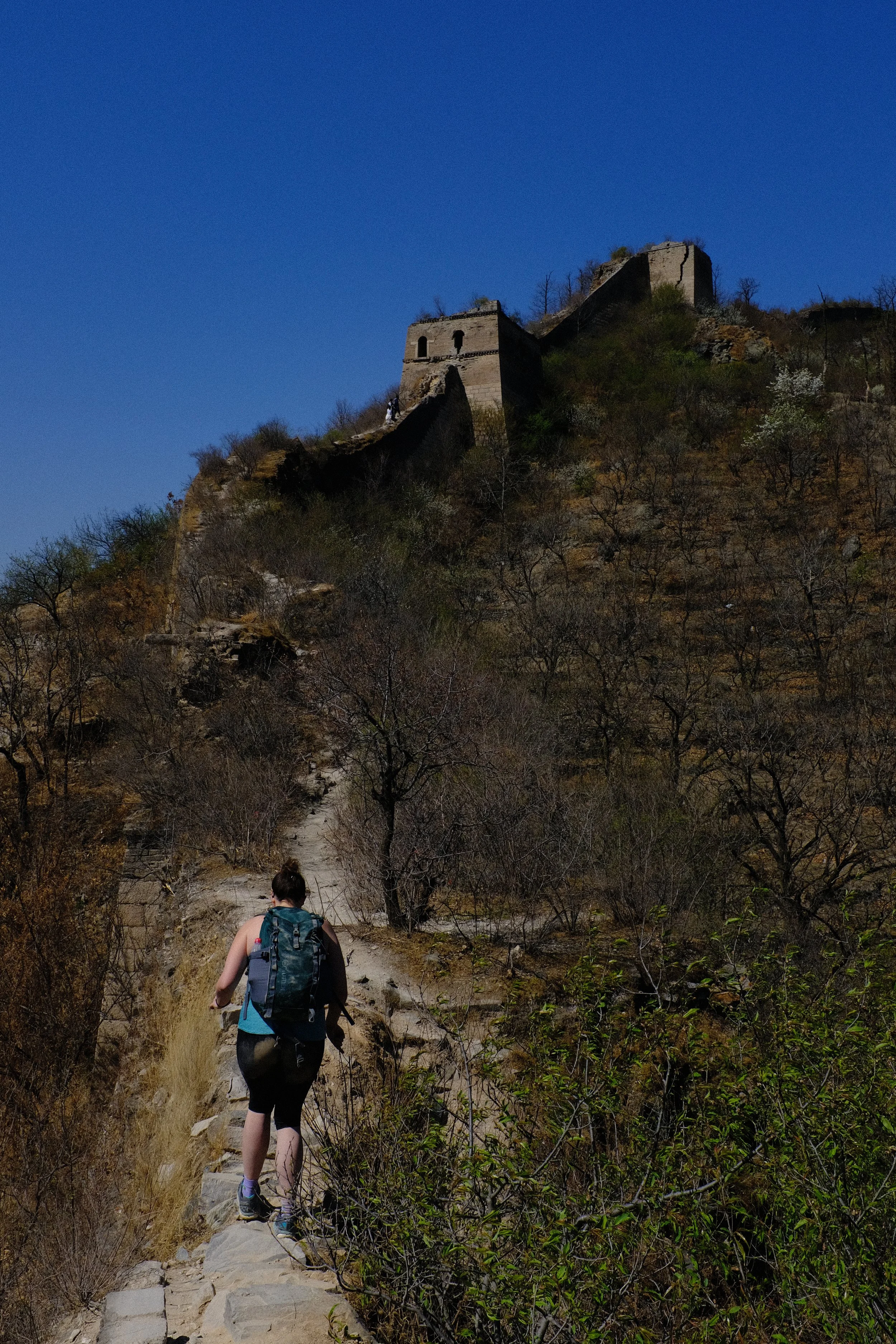 Sam Wall Colourful.JPG