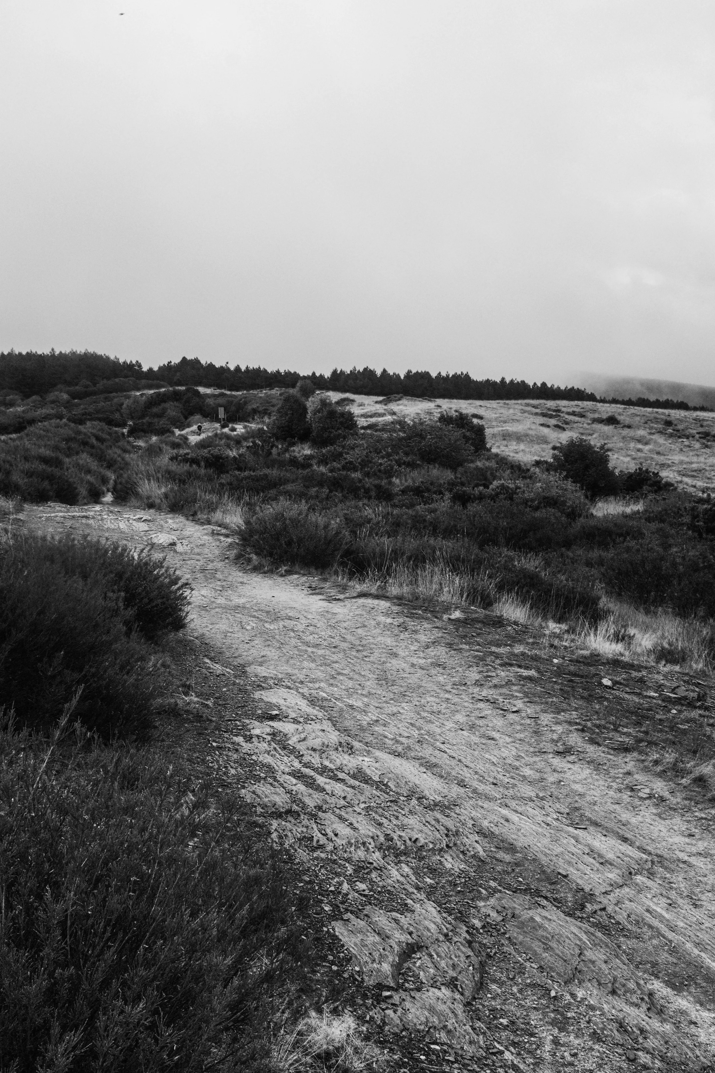 Camino Mountain Path BW.jpg