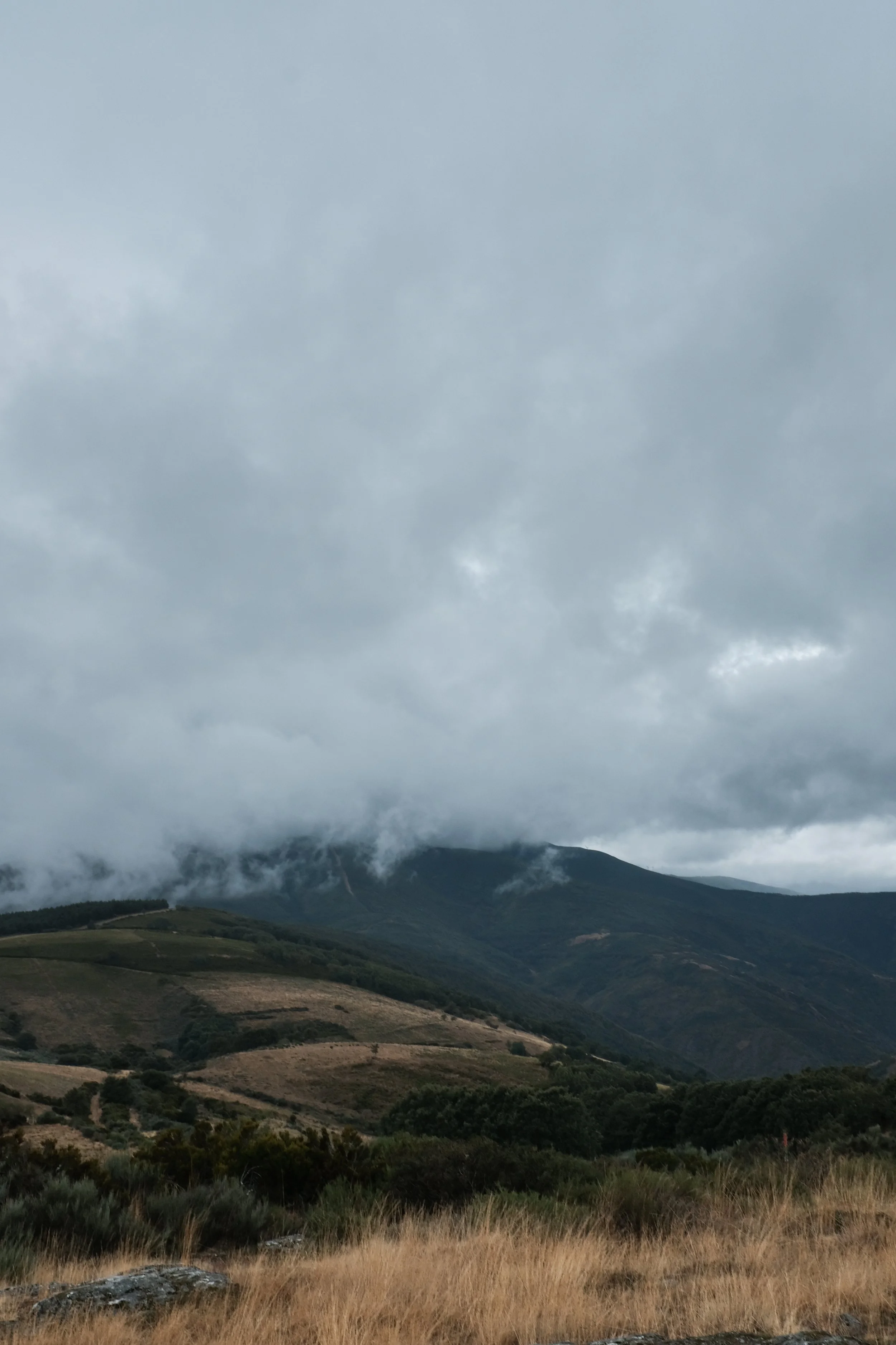 Camino Mountain View.jpg