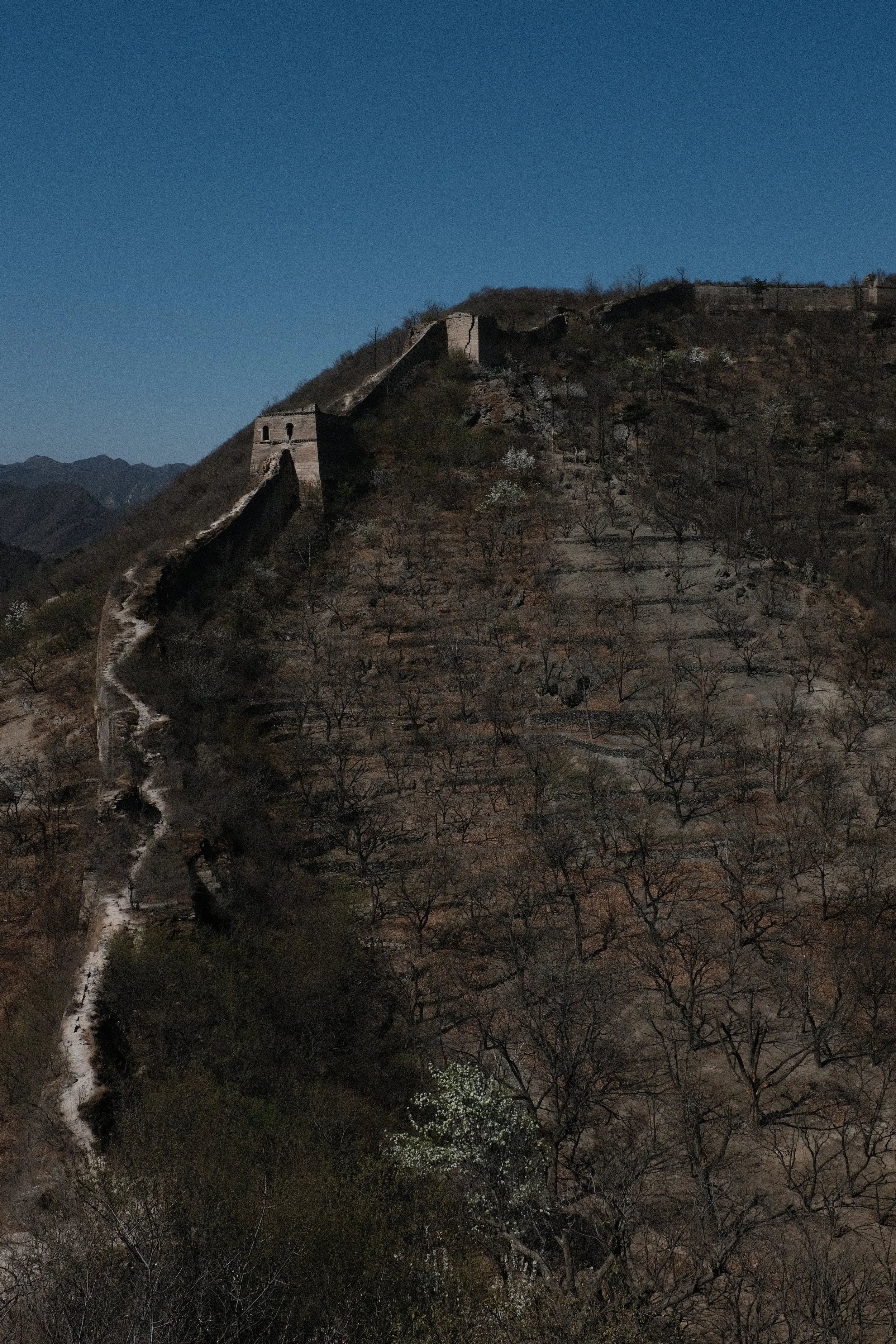 Epic Wall Portrait.JPG