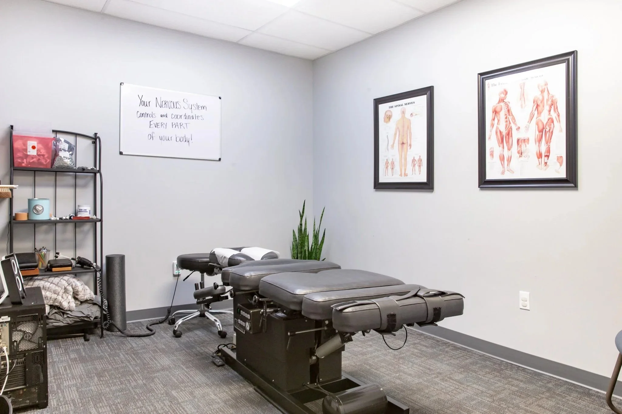 A Look Inside Smith Elite Family Chiropractic