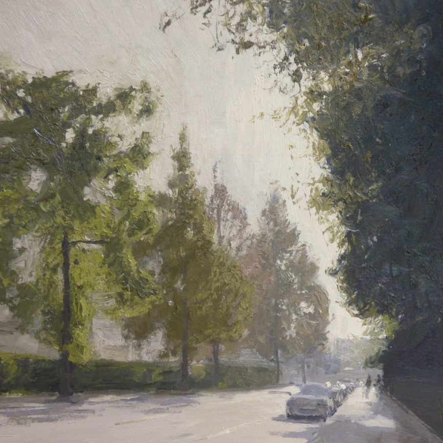 Morning Light Through Trees