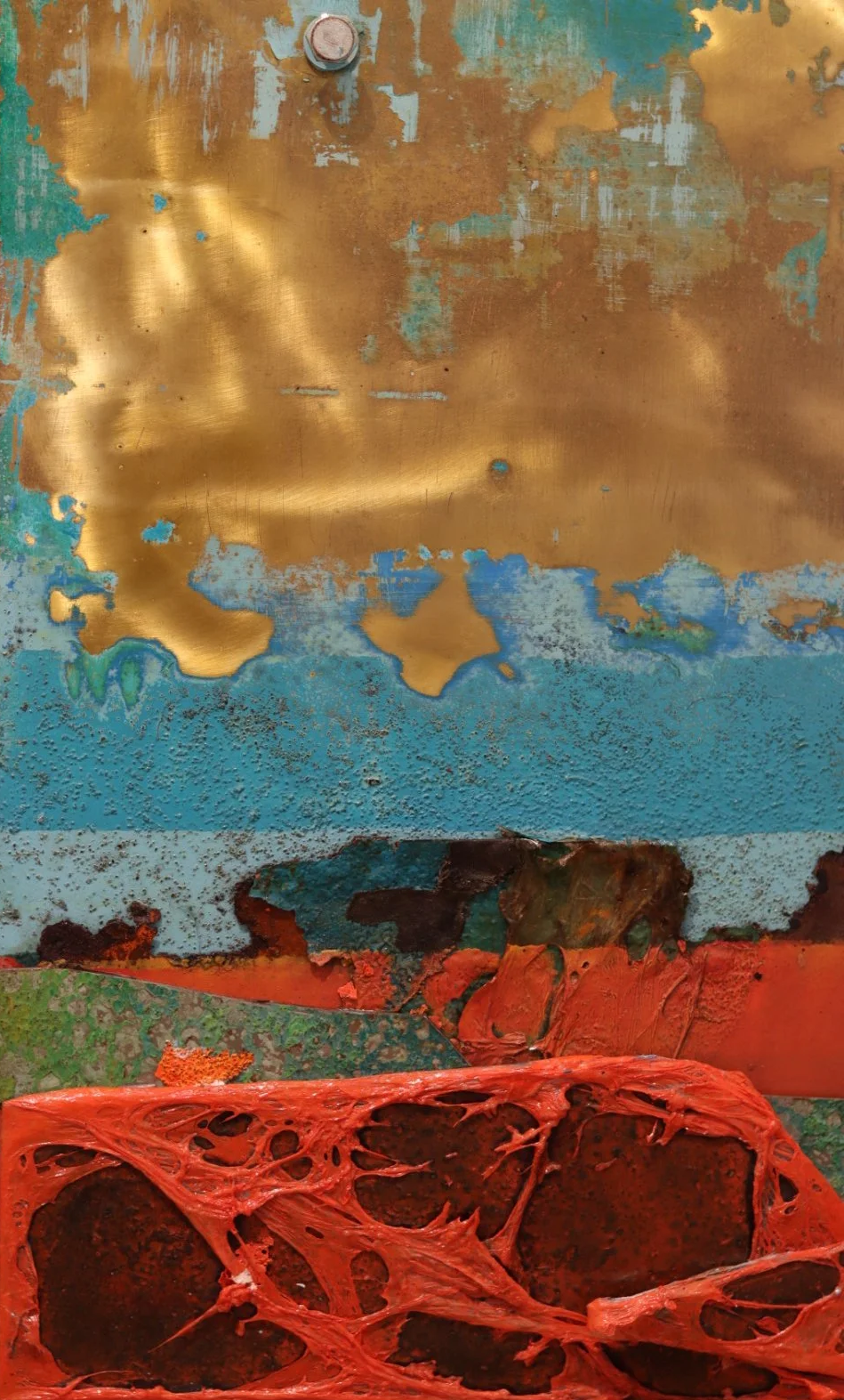 IMG_5566.png