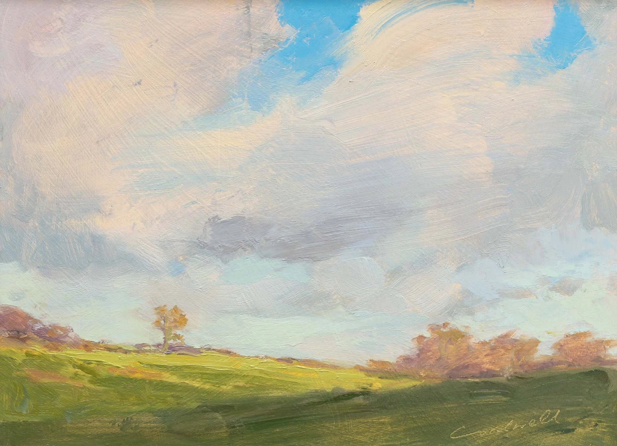 Swept Skies