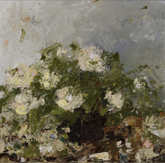 Soft Yellow Roses