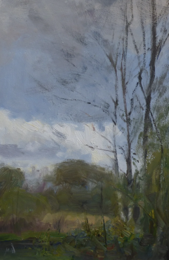 Wimbledon Common Trees