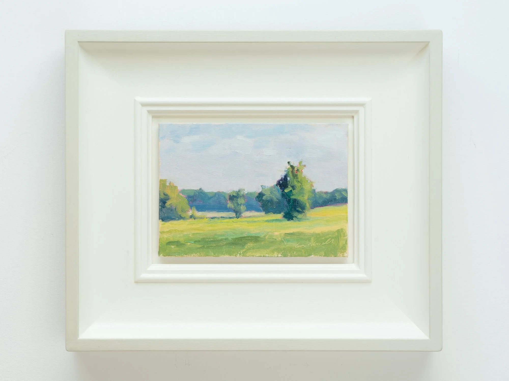257_HarvestLight_insitu.jpg
