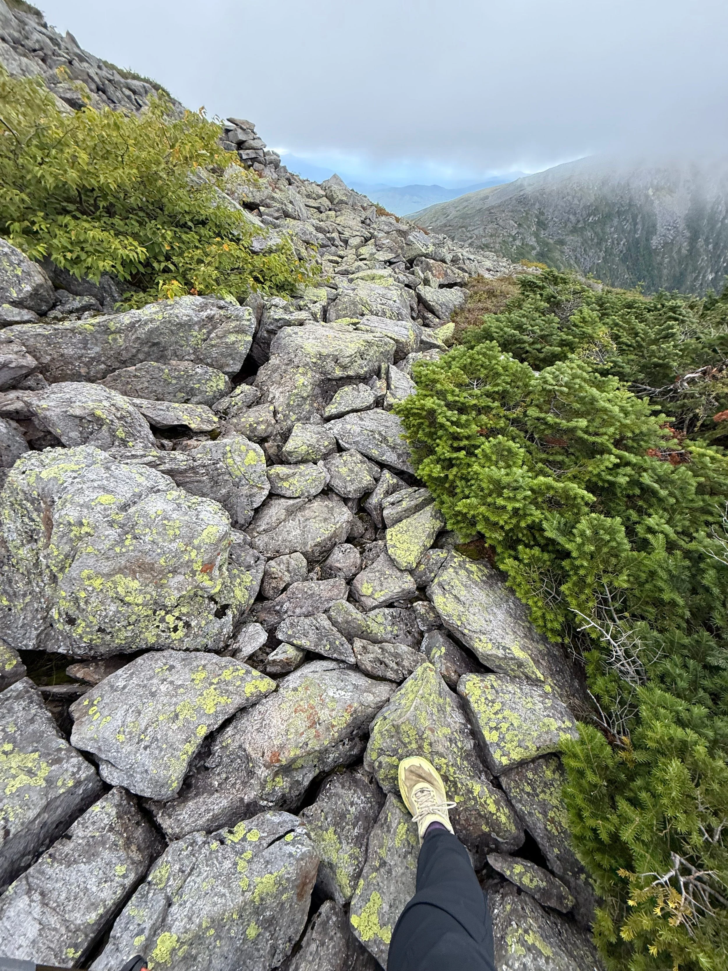 A pathway of kitchen-appliance sized rocks leading into the mist
