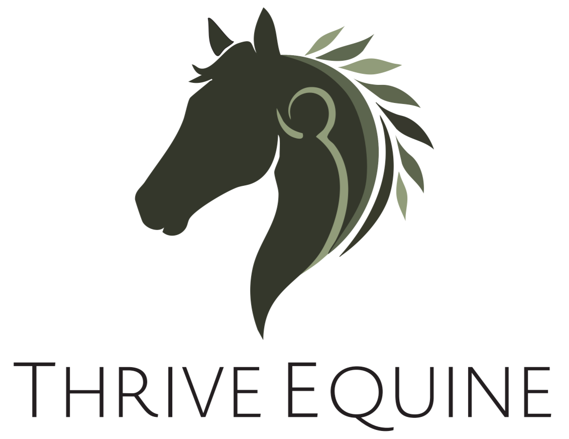 Thrive Equine | Thrive With Horses : equine assisted programs for businesses, veterans, and personal growth - retreats and events - nonprofit