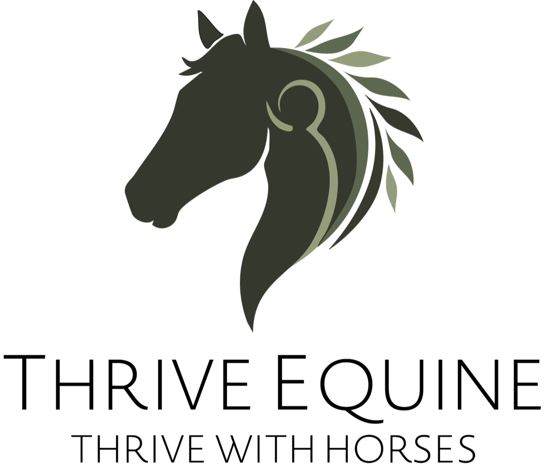 Thrive Equine | Thrive With Horses : equine assisted programs for businesses, veterans, and personal growth - retreats and events - nonprofit