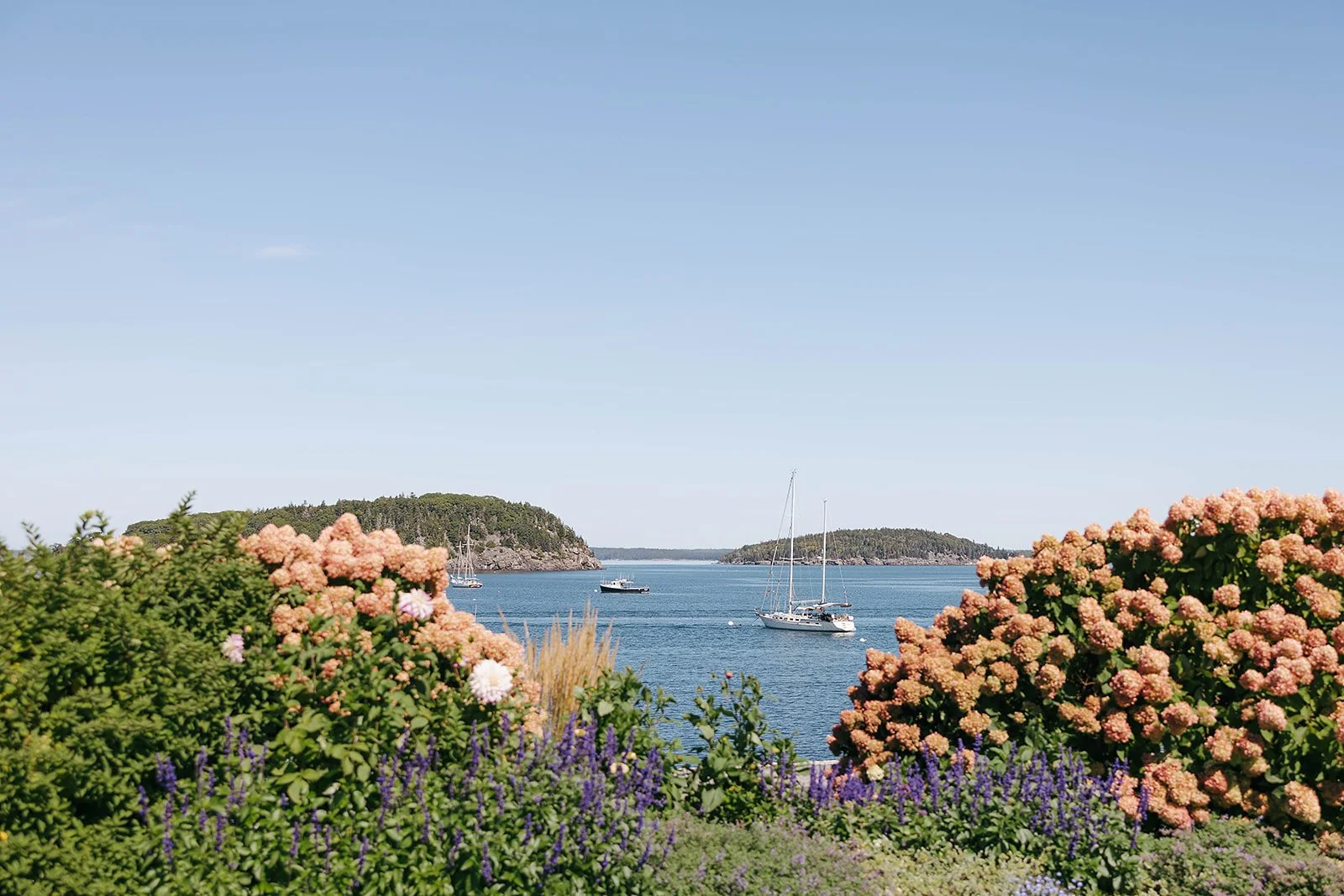 A scenic view of a harbor with sailboats on calm water, framed by blooming pink and purple flowers and green shrubs, with forested islands under a clear blue sky.