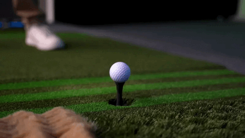 Close-up of a golf ball on a tee on a green putting surface at an indoor golf facility.