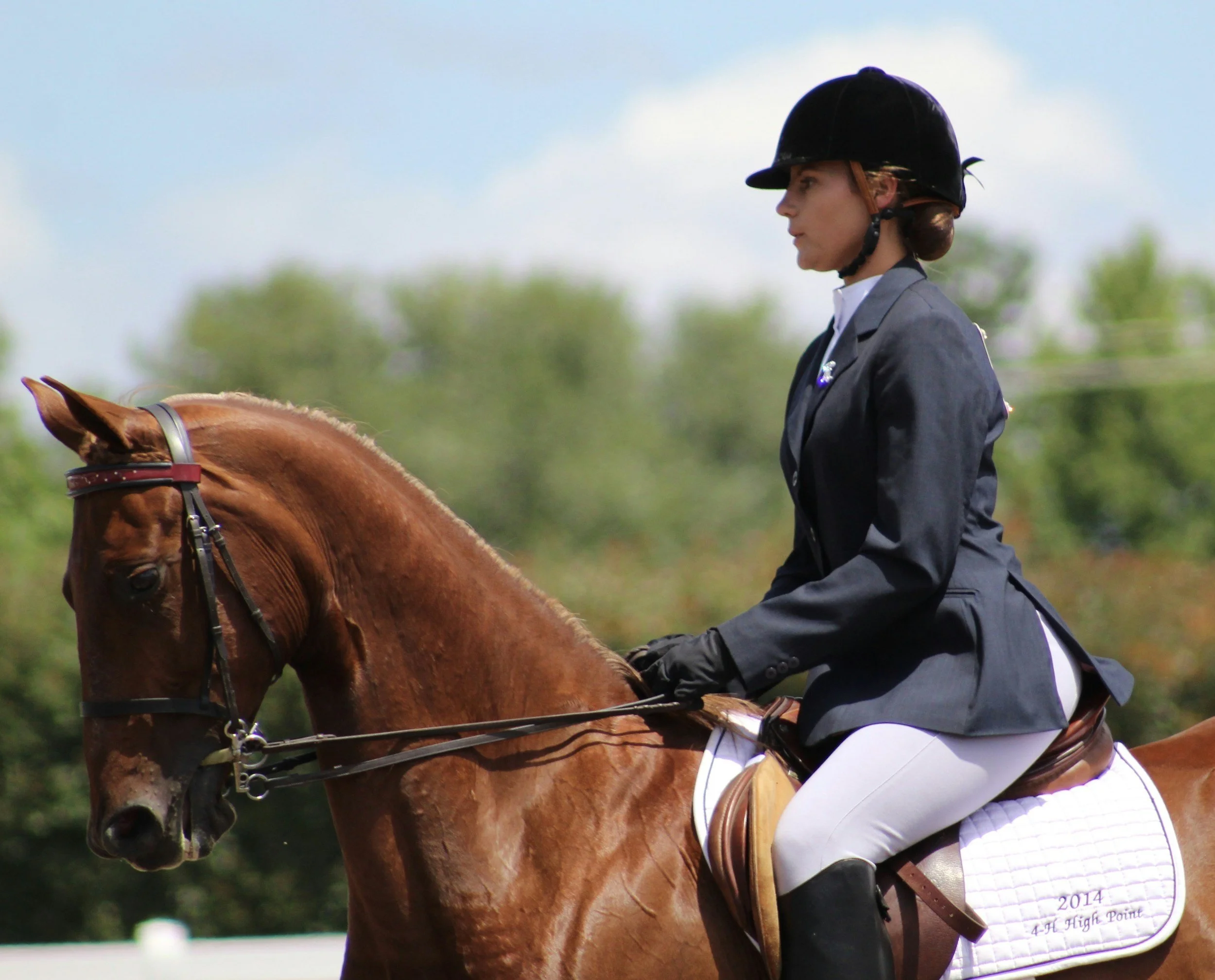 A woman dressed in equestrian attire riding a chestnut horse during a horse riding event outdoors with trees and cloudy sky in the background.