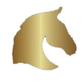 A gold-colored silhouette of a horse's head.