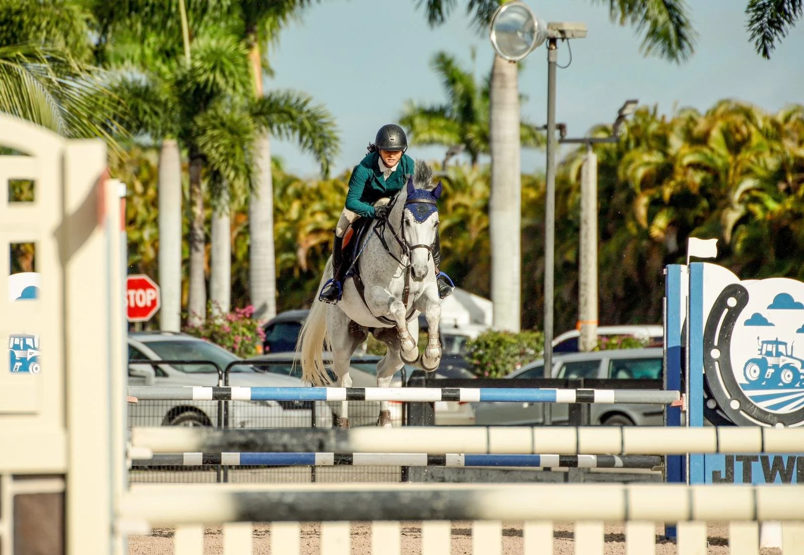 A person riding a gray horse with a black helmet and teal jacket jumping over an obstacle during an equestrian event in an outdoor area with palm trees and parked cars in the background.