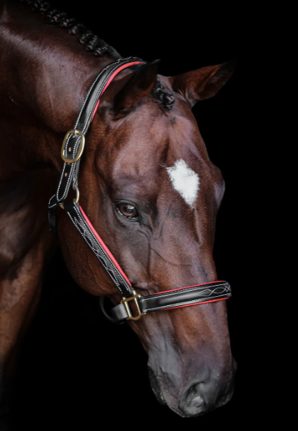 Derby black red.png